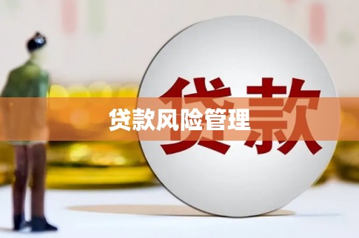 鹿谷贷款风险管理