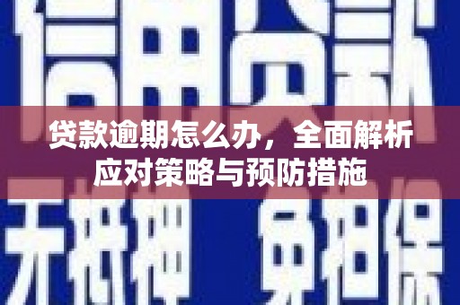 沈河贷款逾期怎么办，全面解析应对策略与预防措施