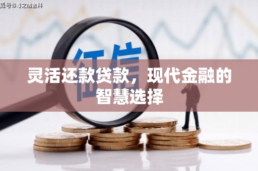 翔安灵活还款贷款，现代金融的智慧选择