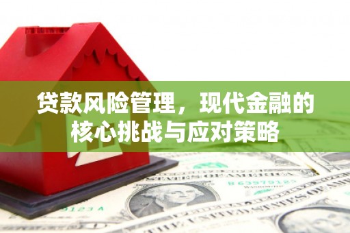 额尔古纳贷款风险管理，现代金融的核心挑战与应对策略