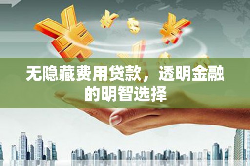 南海无隐藏费用贷款，透明金融的明智选择
