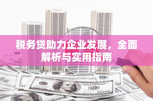 留坝税务贷助力企业发展，全面解析与实用指南