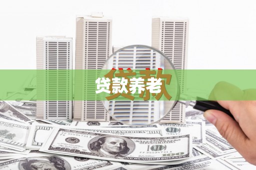 罗东贷款养老