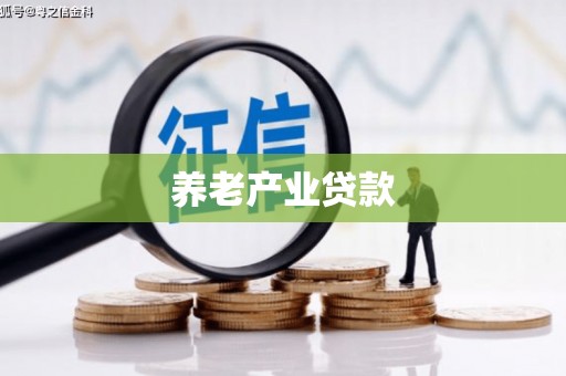 荥阳养老产业贷款