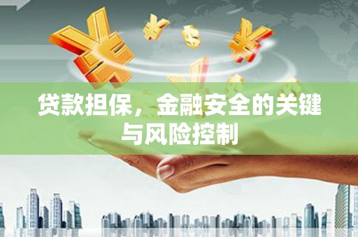 赤坎贷款担保，金融安全的关键与风险控制