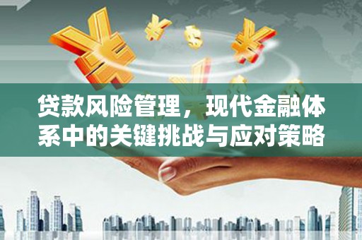 庆元贷款风险管理，现代金融体系中的关键挑战与应对策略