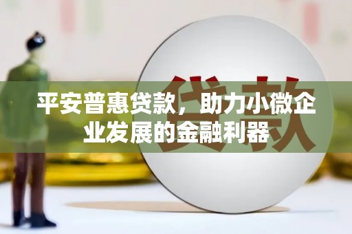 玉树平安普惠贷款，助力小微企业发展的金融利器