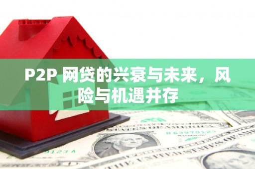 石鼓P2P 网贷的兴衰与未来，风险与机遇并存