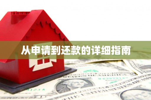 当阳从申请到还款的详细指南