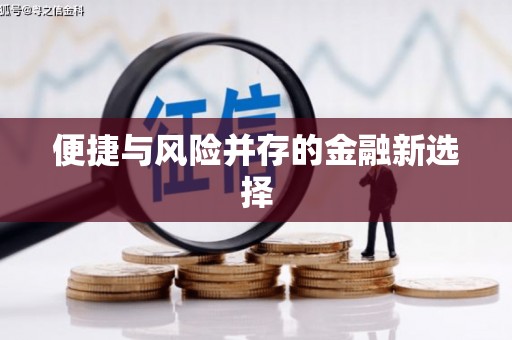 柳营便捷与风险并存的金融新选择