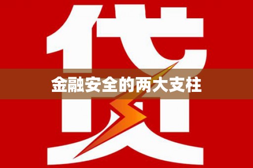 海安金融安全的两大支柱
