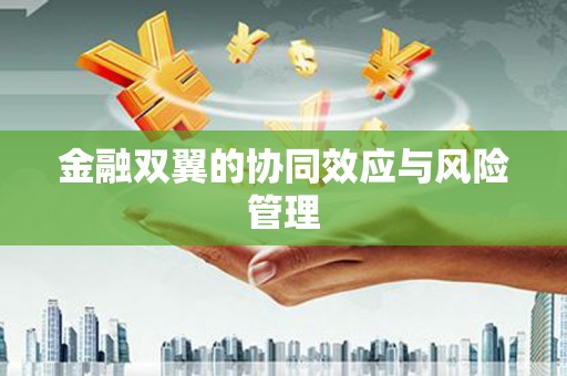 磴口金融双翼的协同效应与风险管理