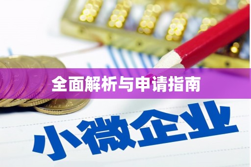 善化全面解析与申请指南