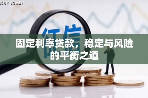 双清固定利率贷款，稳定与风险的平衡之道