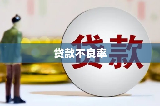 绥阳贷款不良率